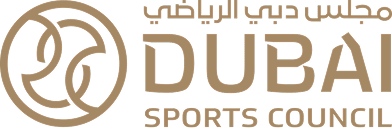 custom software development services